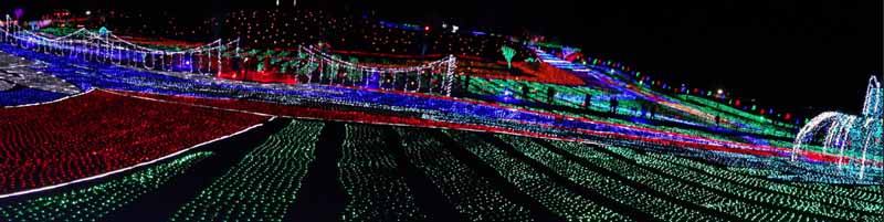 東京ドイツ村のイルミネーション