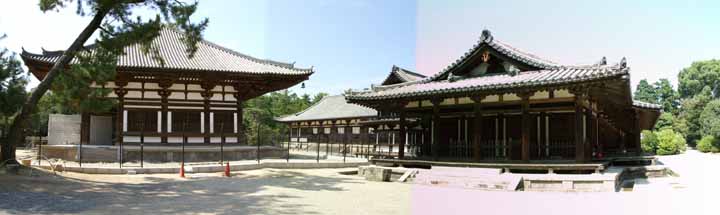 薬師寺のメイン全景