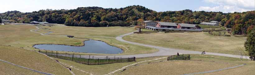 これでもブルーベリーヒルの一部