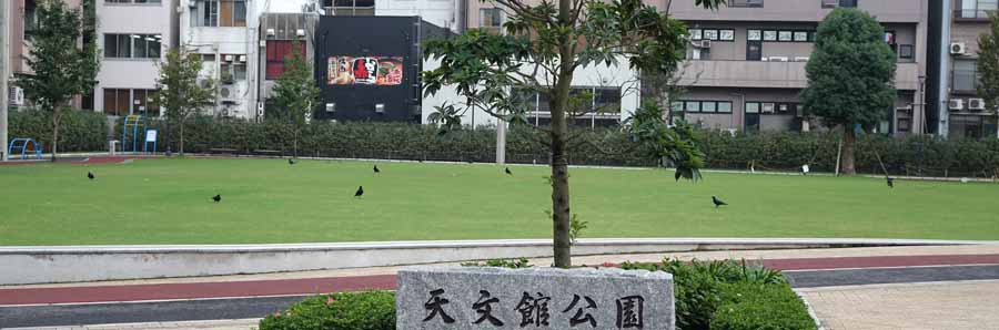 天文館公園の芝が美しい