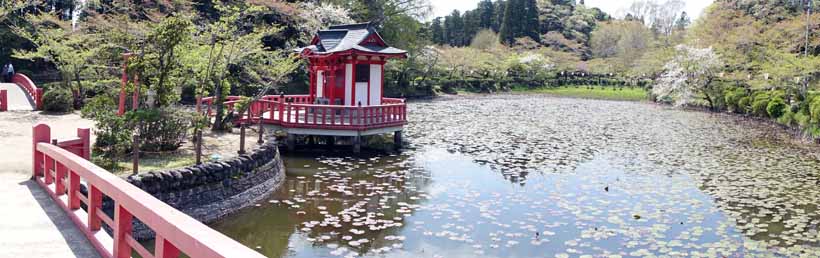 茂原公園の池にて