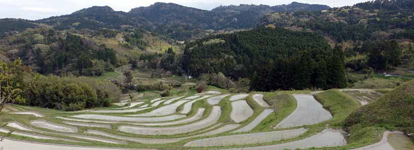 大山千枚田にて
