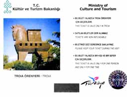 �g���C�̖ؔn�`�P�b�g