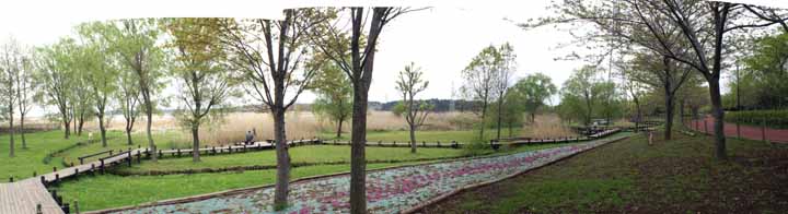 �ӂ邳�ƌ����̗������������i