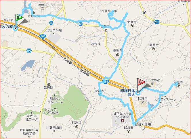 今回歩いたGPS軌跡