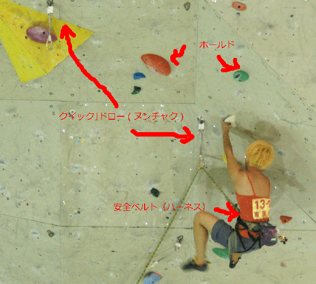 リード競技の様子