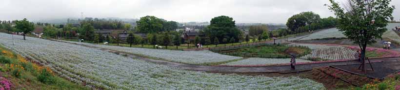 太田北部公園は無料の素晴らしい草原でした