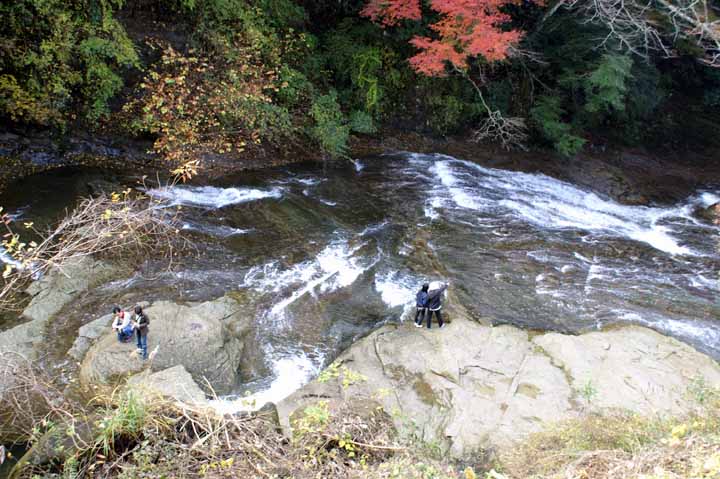 This picture is for quick loading of picture.