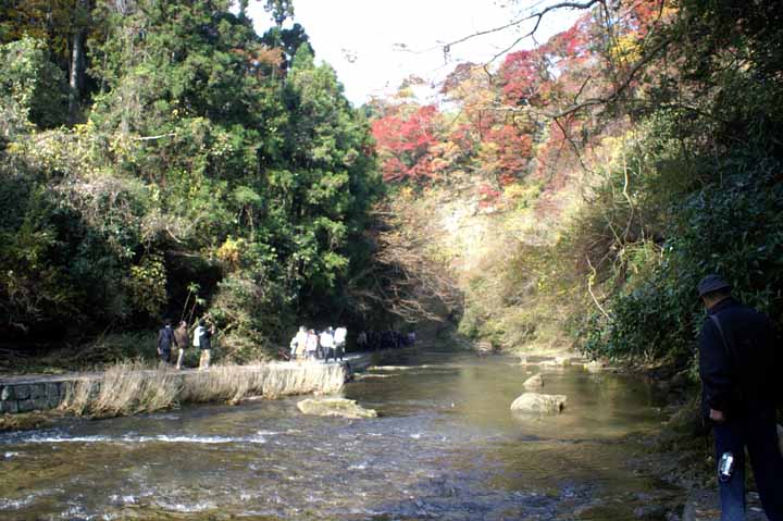 This picture is for quick loading of picture.