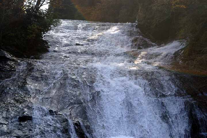 This picture is for quick loading of picture.